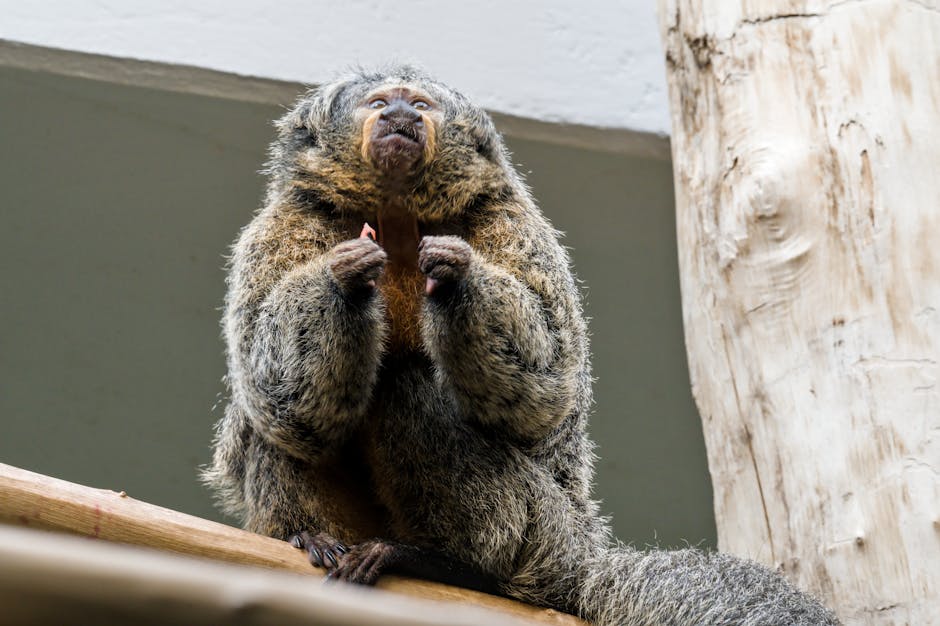 Modern Banking and Finance Hub